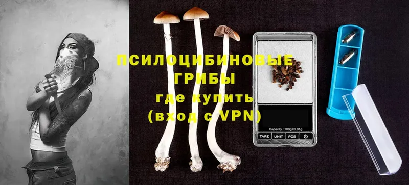 Галлюциногенные грибы Cubensis  Анжеро-Судженск 